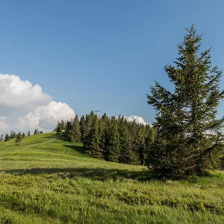 Domek letniskowy Na Zagrodzie Rycerka Gorna